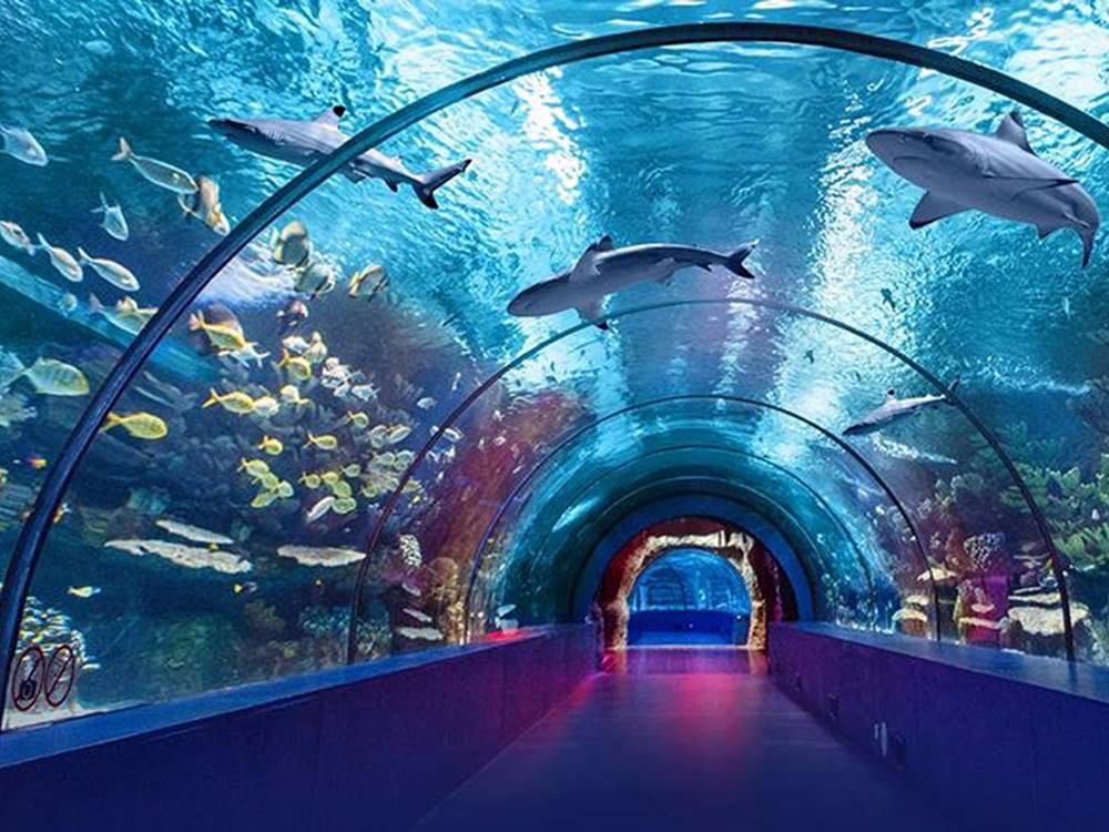 Antalya Aquarium Tour